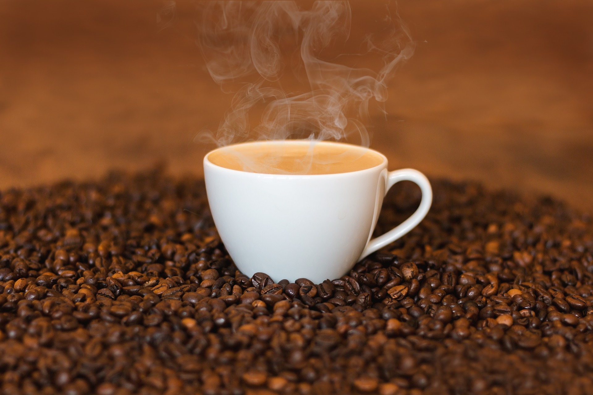 kaffeebohnen dampfender kaffeegeruch