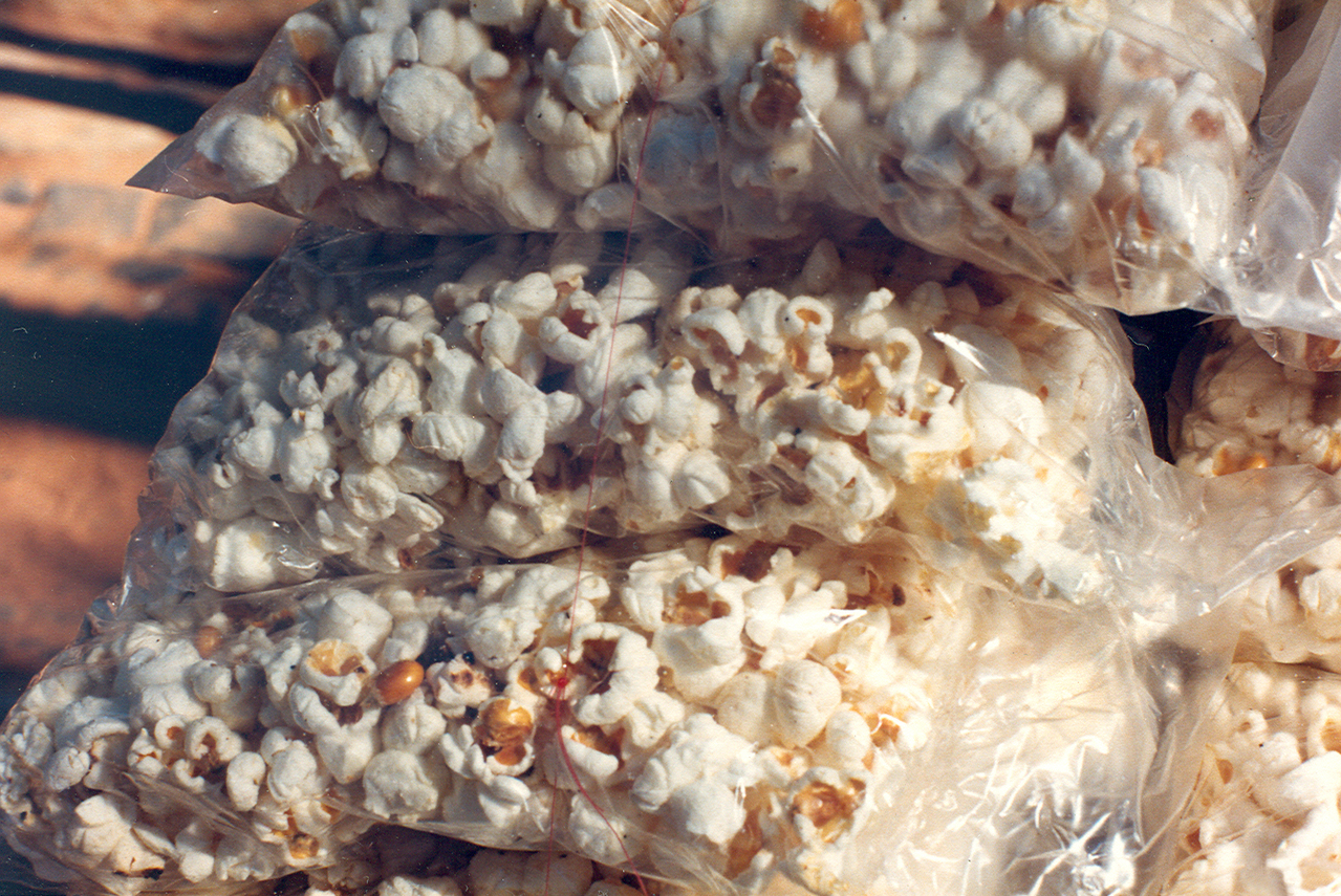 Popcorn-Maschine &amp; -Maker: Die 8 besten [Test 2025] | DieKochstube